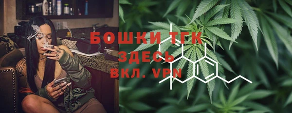твердый Арсеньев