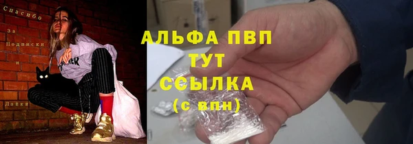 прущие грибы Алексин