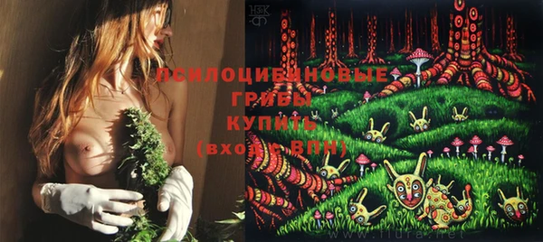индика Алзамай