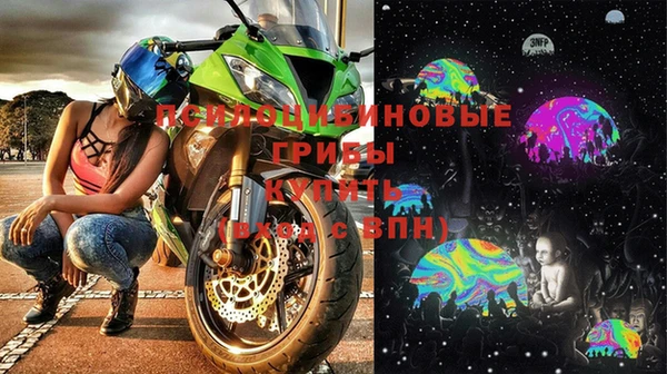 винт Армянск