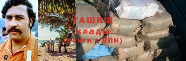 индика Алзамай