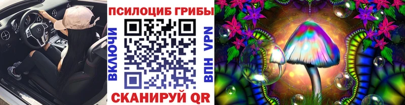 Галлюциногенные грибы Psilocybine cubensis  Краснообск 